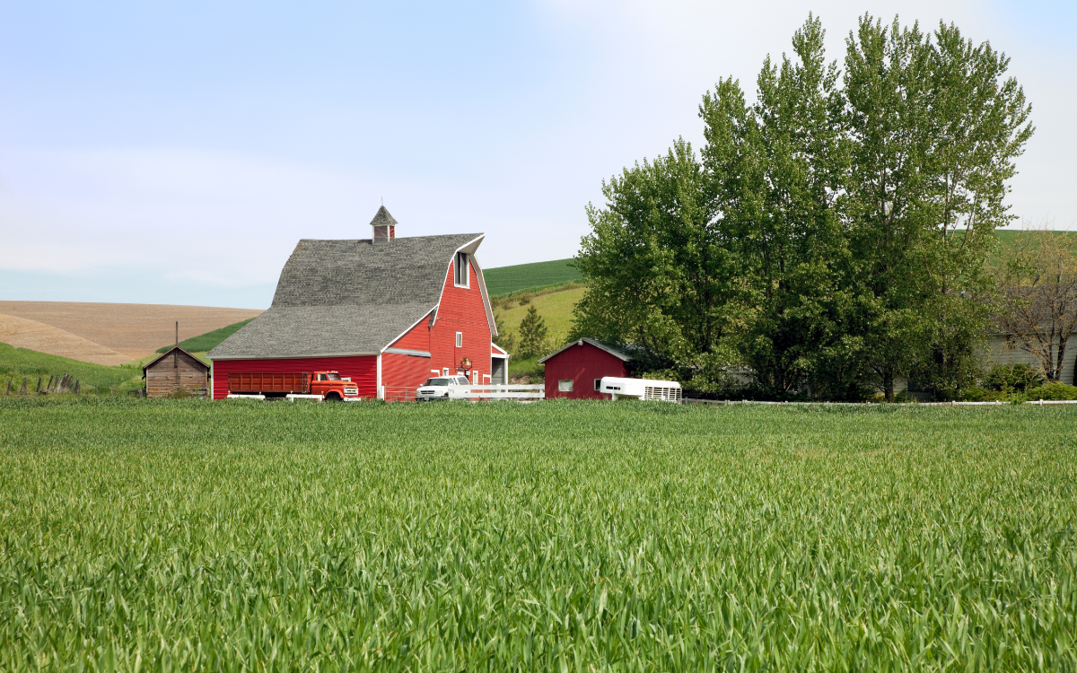 Tenant Farming Leases: What Buyers Inherit When Purchasing Rented Farmland in Missouri